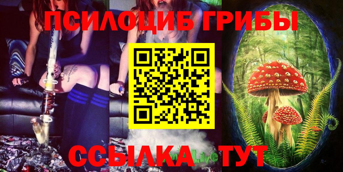 A PVP Ивантеевка
