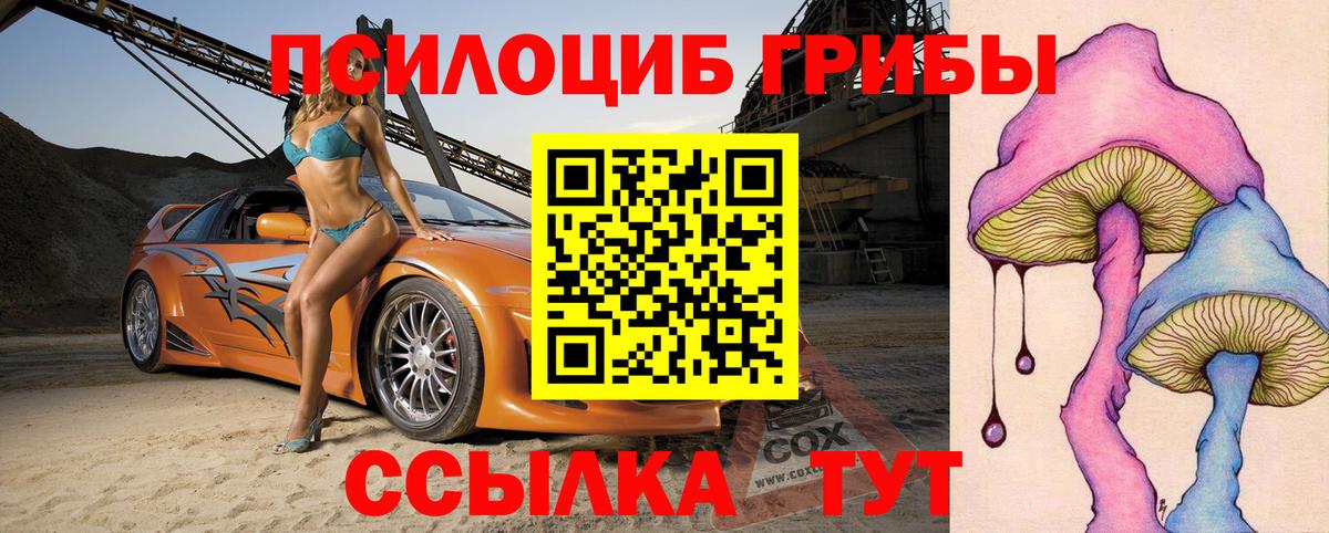 Псилоцибиновые грибы мицелий  Вход с VPN  Ивантеевка 
